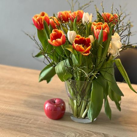 Hegau Boardinghouse Lejlighed Singen Eksteriør billede