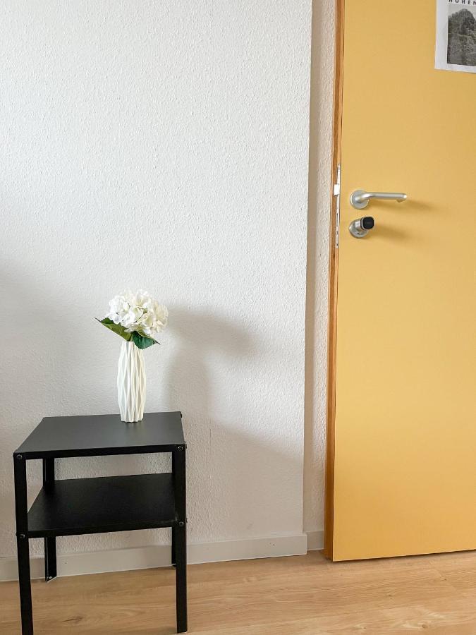 Hegau Boardinghouse Lejlighed Singen Eksteriør billede